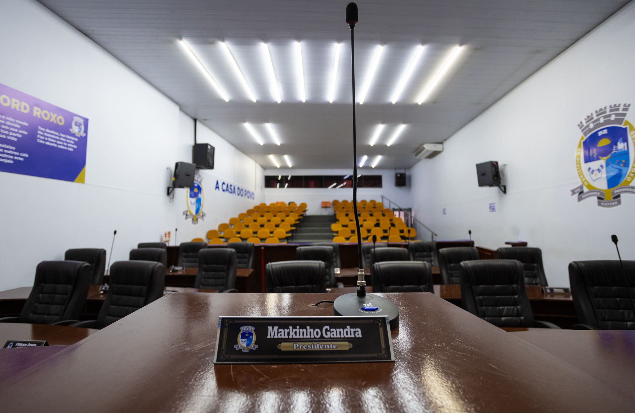 PLENÁRIO - VISÃO CENTRAL DO VEREADOR PRESIDENTE 2