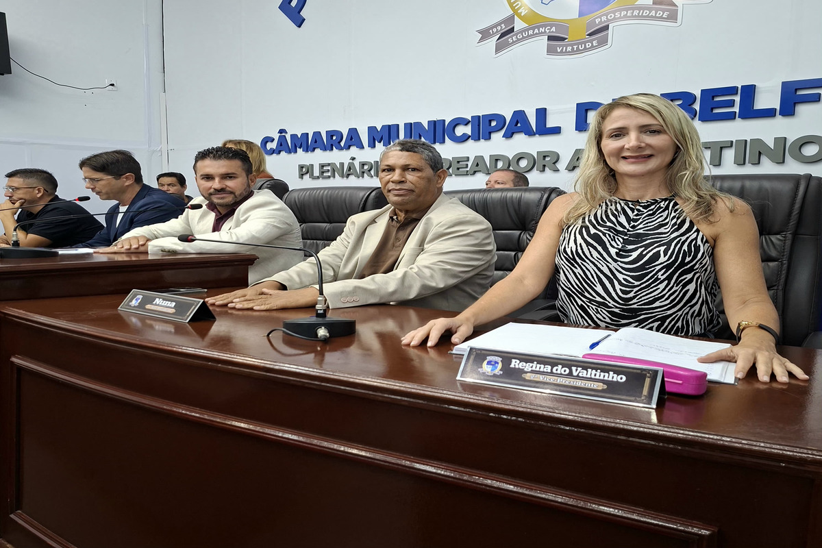 Sessão Plenária registra ritmo de trabalho acelerado